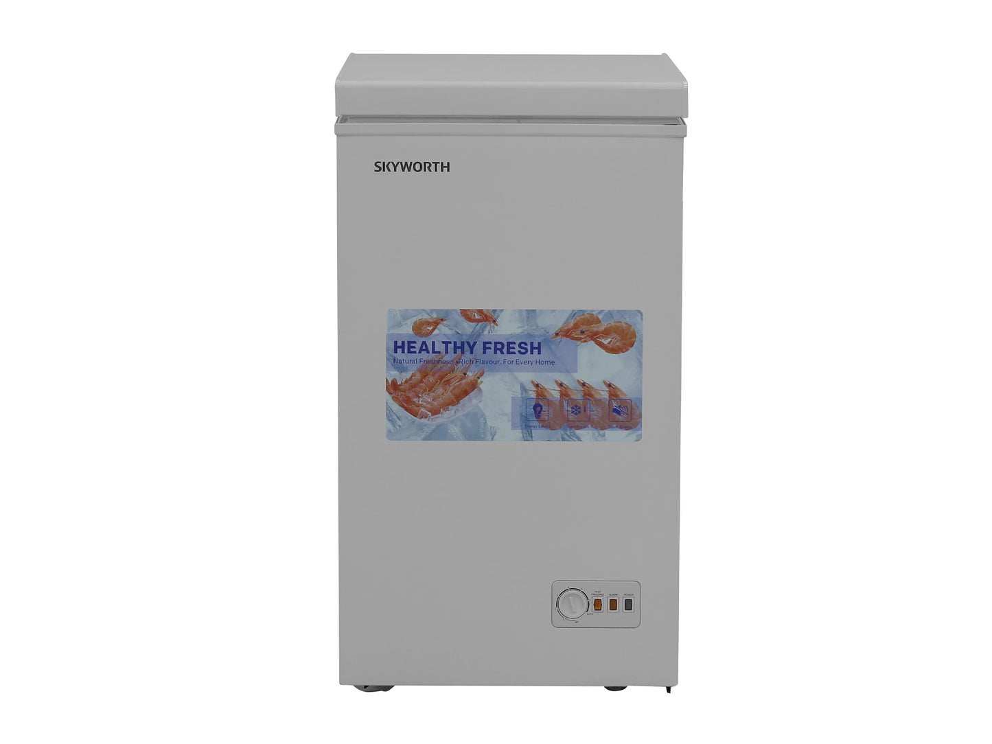 SKYWORTH BD-110B