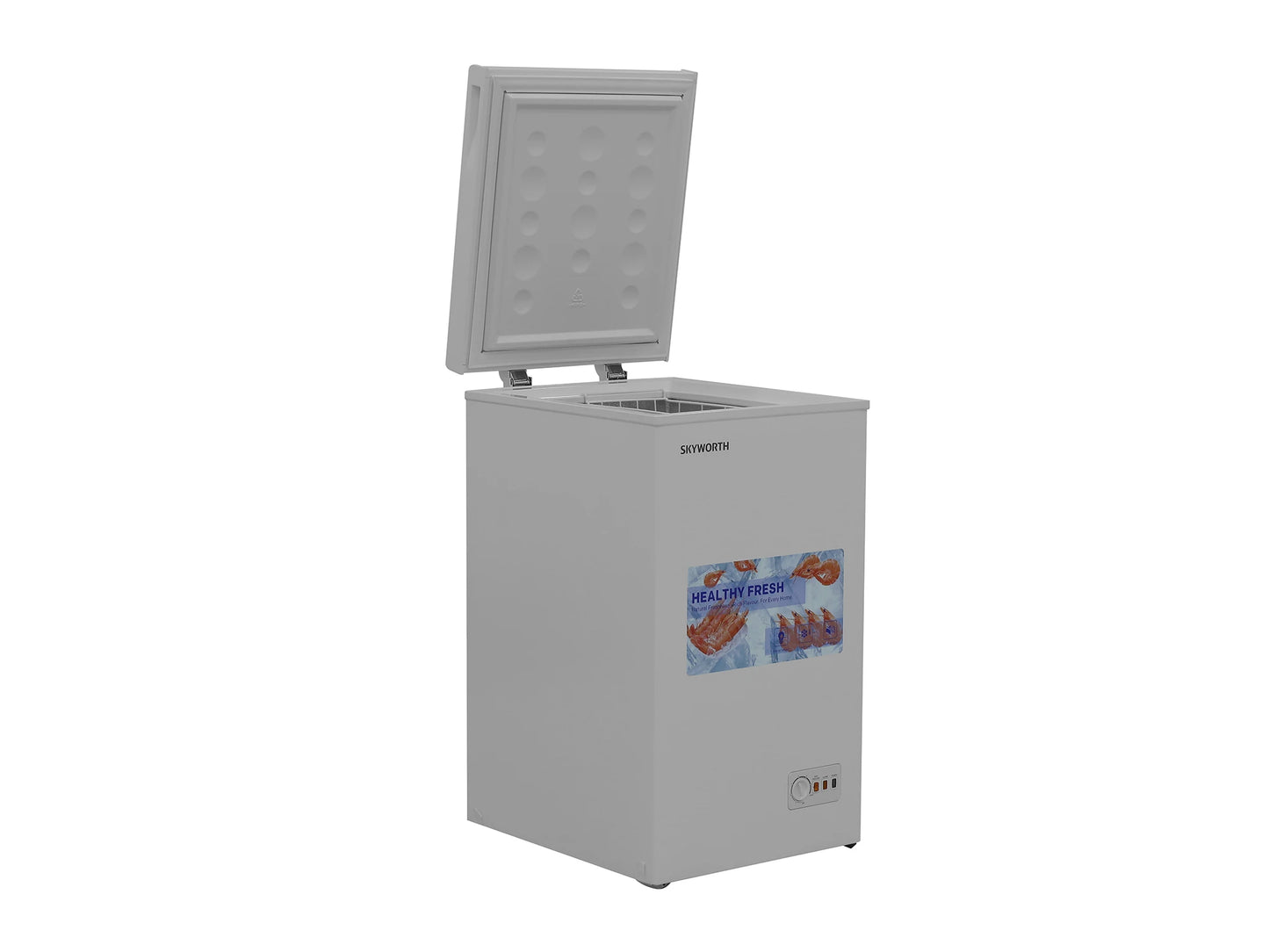 SKYWORTH BD-110B