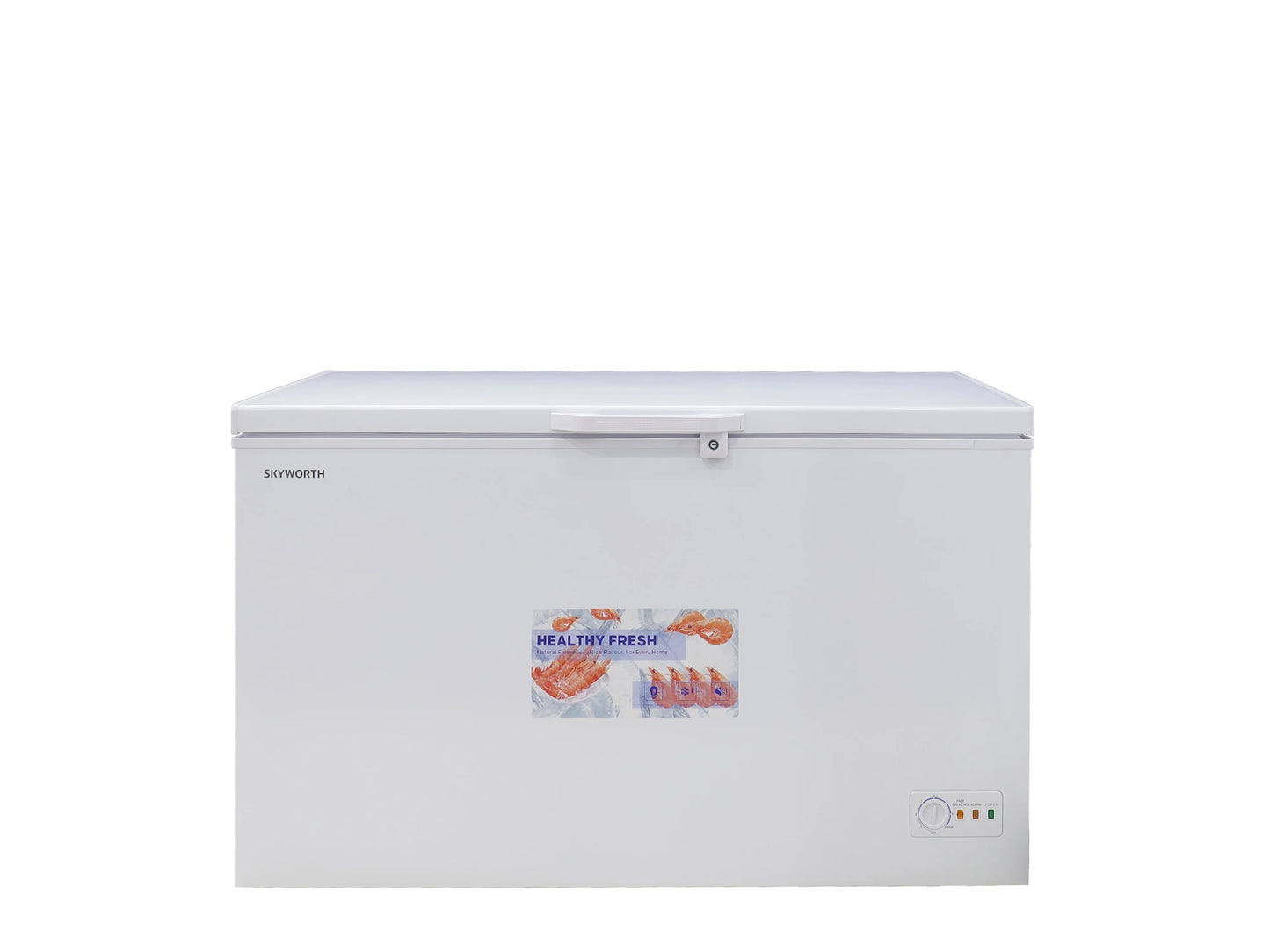 SKYWORTH BD-500