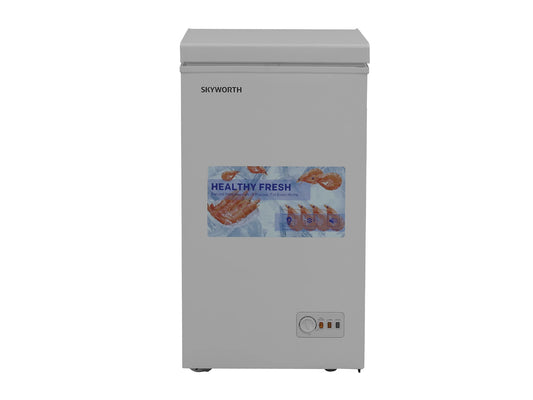 SKYWORTH BD-110B