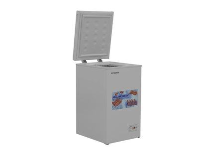 SKYWORTH BD-110B