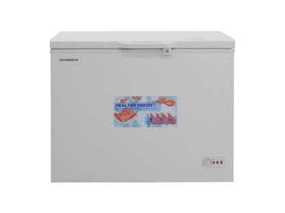 SKYWORTH BD-300AT