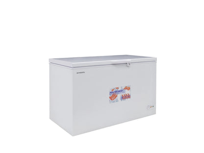 SKYWORTH BD-500
