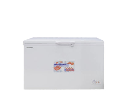 SKYWORTH BD-500