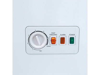 SKYWORTH BD-500